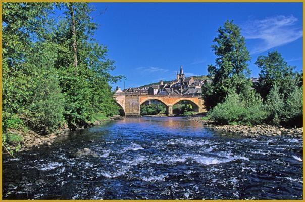 Hotel Au Pont D'Olt Saint-Côme-dʼOlt Esterno foto